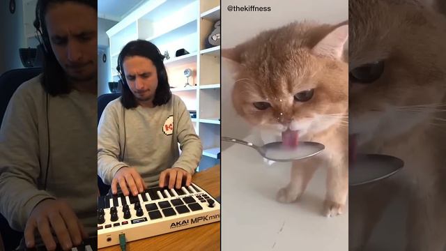 The Kiffness X NumNum Cat (Live Looping Balkan Remix)