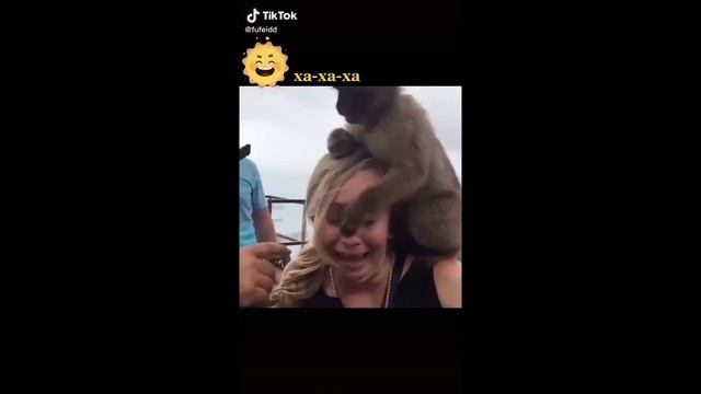 😂ТОП 10 СМЕШНЫХ ВИДЕО ИЗ ТИК ТОКА😂 смотреть онлайн