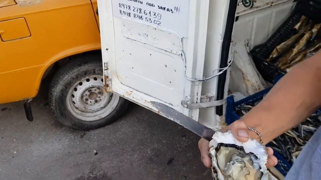 Крым. Устрицы в "Балаклавской бухте", часть 3, 31.08.2018г смотреть онлайн
