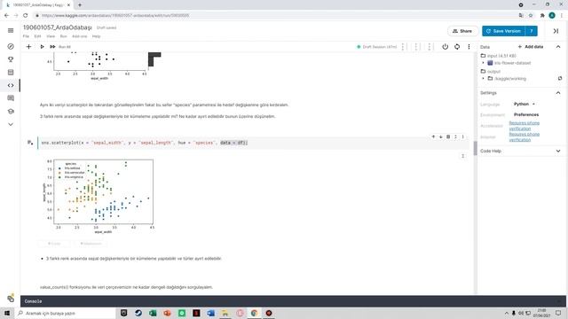 Kaggle Ortamında Keşifçi Veri Analizi (EDA) ve Becerileri Pekiştirme Alıştırmaları смотреть онлайн