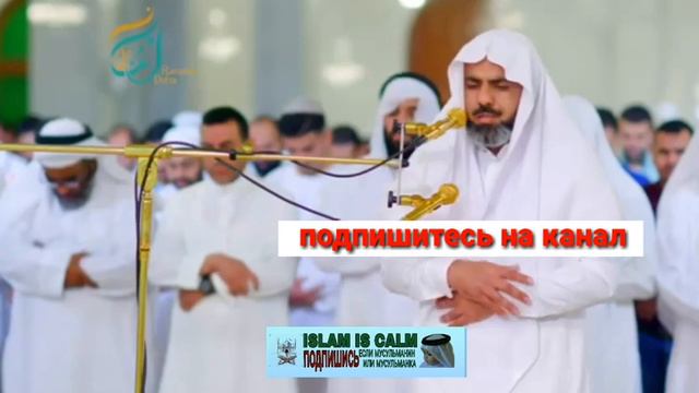 Иракский читатель Омар Абдулла удивляет жителей Дубая в этом чудесном чтении Рамадана 1440/2019. смотреть онлайн