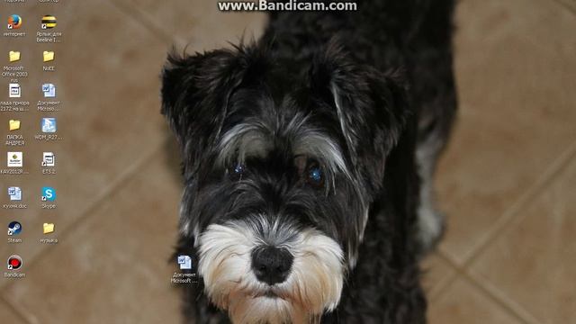 Как очистить диск с смотреть онлайн