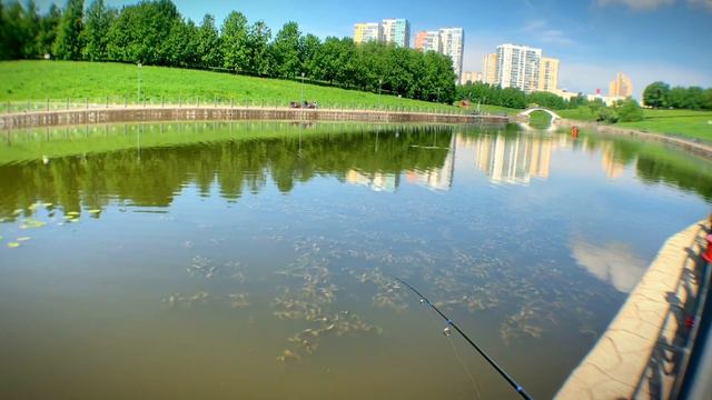 Мормышинг - 2 часа на новых прудах с Гаммарусом смотреть онлайн