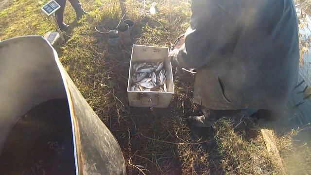 зарыбление р Ворскла осень 2013 смотреть онлайн