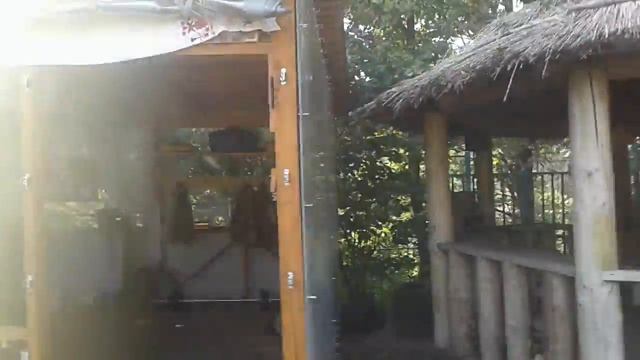 Занятия кадетов в Рождествено смотреть онлайн