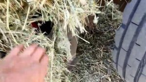 ПРФ-180. Проверка работоспособности после ремонта