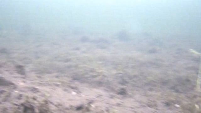 Аргази 16.01.2018 смотреть онлайн