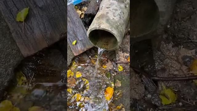 Звук воды для сна. Родник в лесу смотреть онлайн