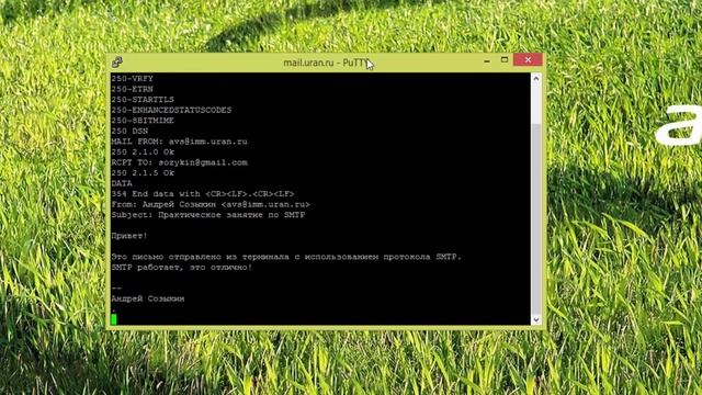 SMTP в текстовом режиме смотреть онлайн