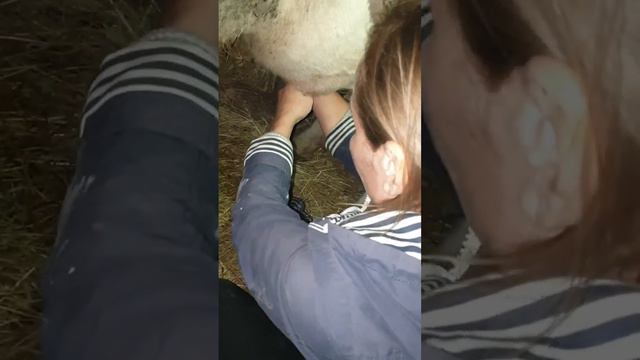 10.10.2023 смотреть онлайн