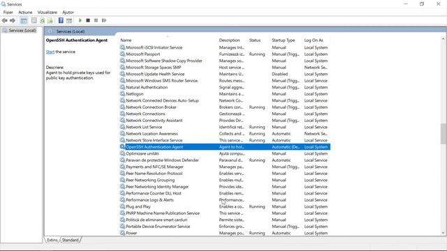 SSH | Mediu de lucru pentru PHP și NodeJS în Windows 10 смотреть онлайн