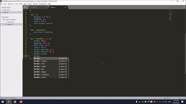 Float Labels with CSS смотреть онлайн