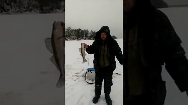 Отдых в Подмосковье.Рыбалка на Оке. смотреть онлайн