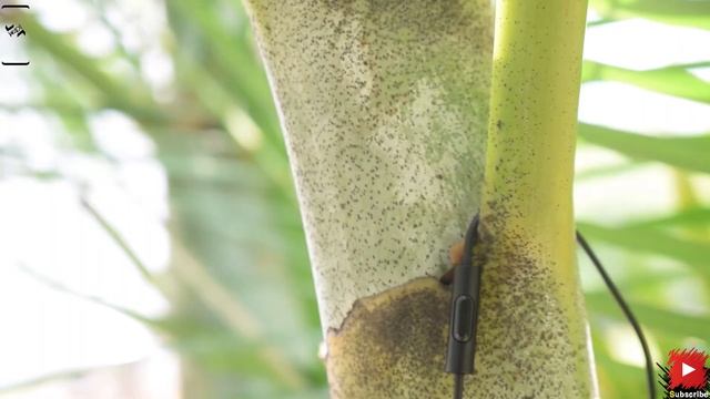 Mi Basic Earphones - Red | Unboxing & Full Review | Bang for the Buck?? смотреть онлайн