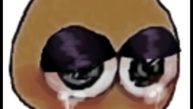 СЬЮХИ ЗЕМЛЯ КОРОЛЕЙ? ИЛИ ПОЧЕМУ НЕТ КОНТЕНТА //13kart