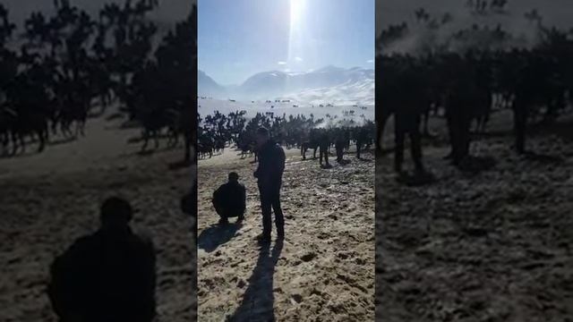 Кыргызстан. Ош. Папан айылы. смотреть онлайн