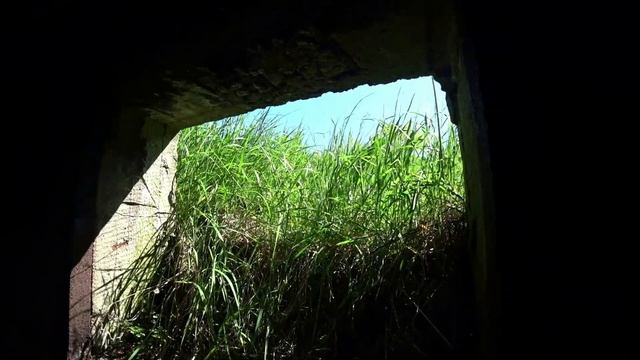 За ЗОЛОТОМ на ПЛЯЖИ. Это ЗОЛОТАЯ пора. Но такого я НЕ ОЖИДАЛ... смотреть онлайн