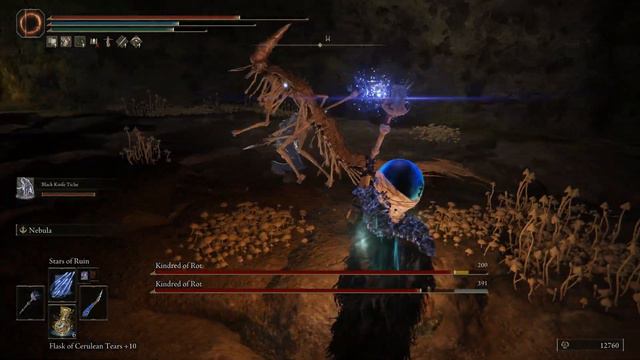 2 Kindred of Rot – Seethewater Cave – Elden Ring 144 смотреть онлайн