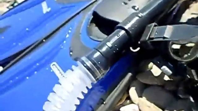 КРАБ И ОТШЕЛЬНИК ОБИТАТЕЛИ ЧЁРНОГО МОРЯ смотреть онлайн