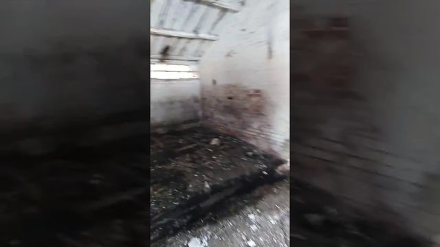 Лайк, потом смотри! #3 смотреть онлайн