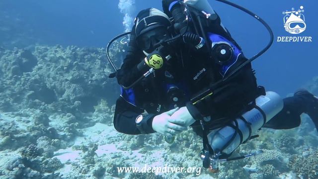 Test dive with rebreather смотреть онлайн