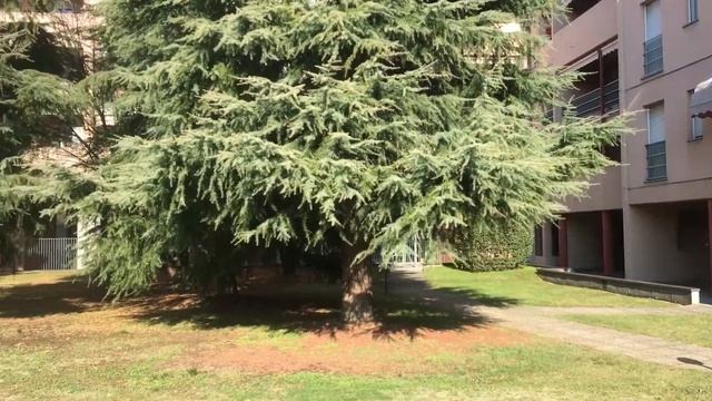 Busto Arsizio appartamento in Vendita смотреть онлайн