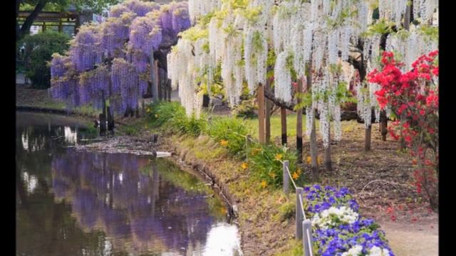 Красивая мелодия для души.