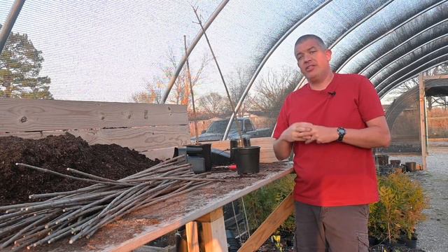 We could make THOUSANDS with these trees!! Limelight Trees смотреть онлайн