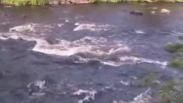 Поньгома смотреть онлайн