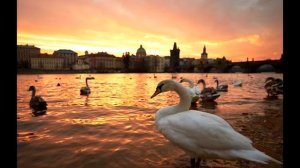 Бедржих  Сметана  -  Влтава  (Moldau)