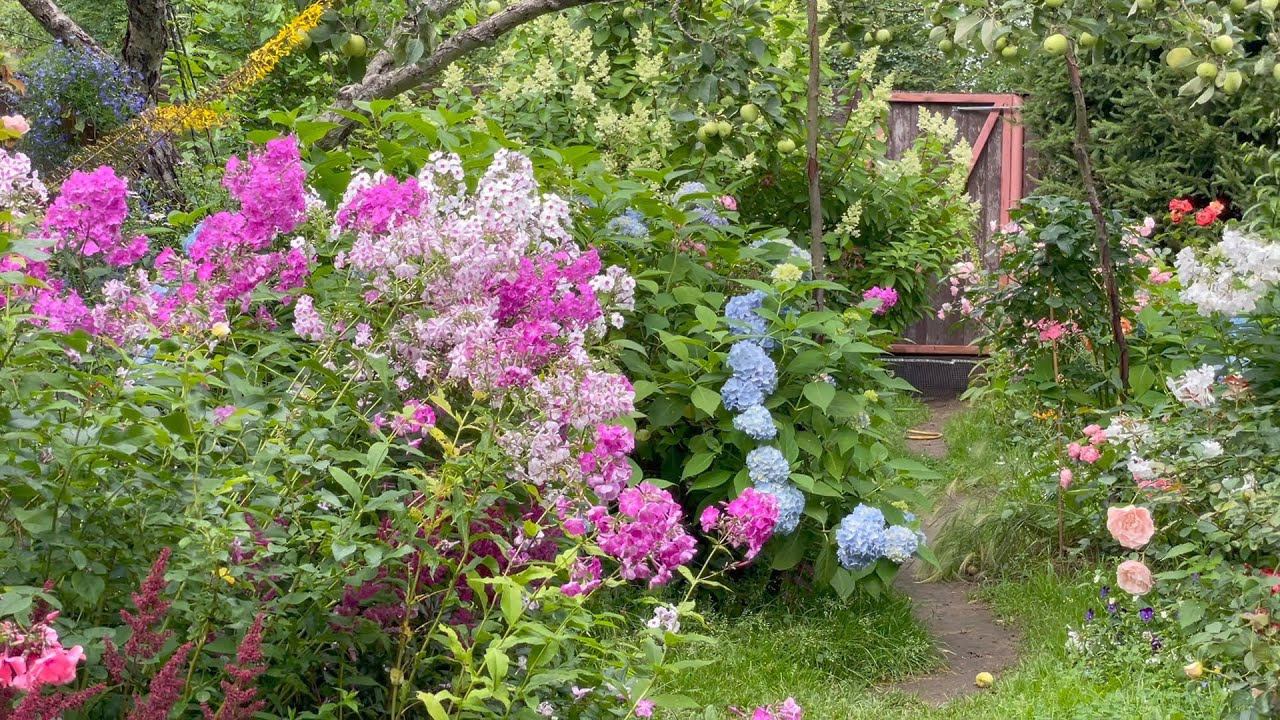 Август в Саду 3 августа 2023 часть 1