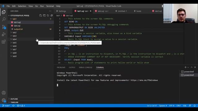 VScode PLSQL PGSQL смотреть онлайн