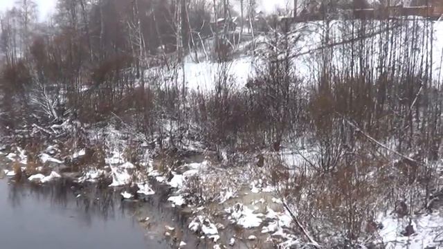 Долгая река впадает в Долгое озеро. Сланцевский район смотреть онлайн