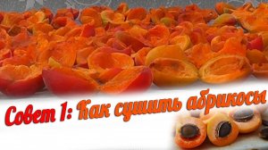 Как сушить абрикосы | Домашняя курага