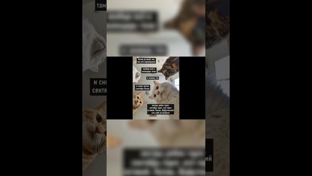 3 сентября × дуло автор: Harble смотреть онлайн