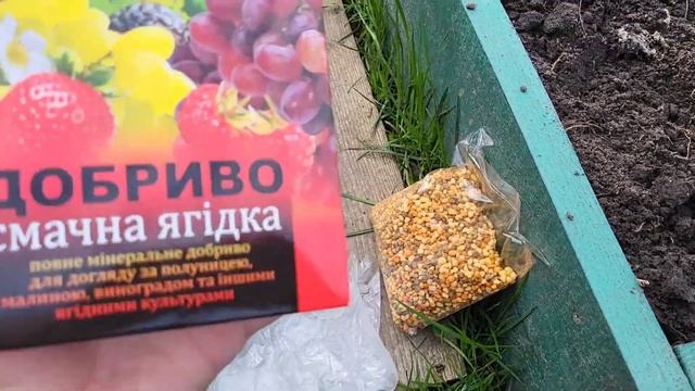 Первый уход за ? клубникой весной. смотреть онлайн