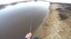 Ловлю с Невской катушкой впервые за двадцать лет. Помнят ли руки?