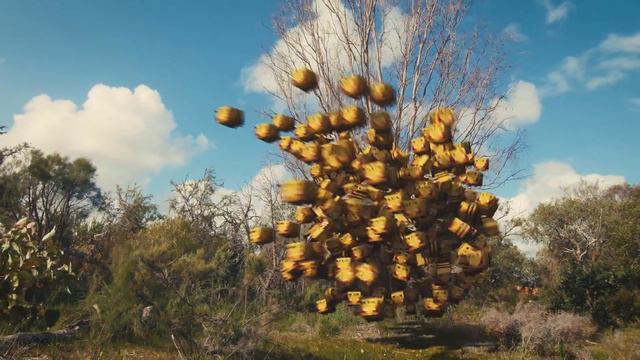 Minecraft Killer Bee Swarm In Real Life смотреть онлайн