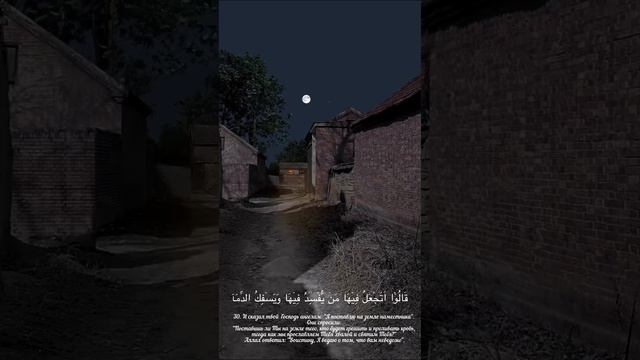 Ибрагим Аль Шишани смотреть онлайн