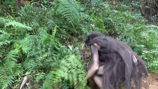 Primitive Life - Forest People Dig House Underground - Meet Ethinc Girl Find Food смотреть онлайн