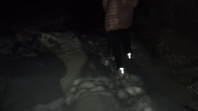Как мы щенков продавали. Кто куда уехал. Кто остался . САО. Алабай. смотреть онлайн
