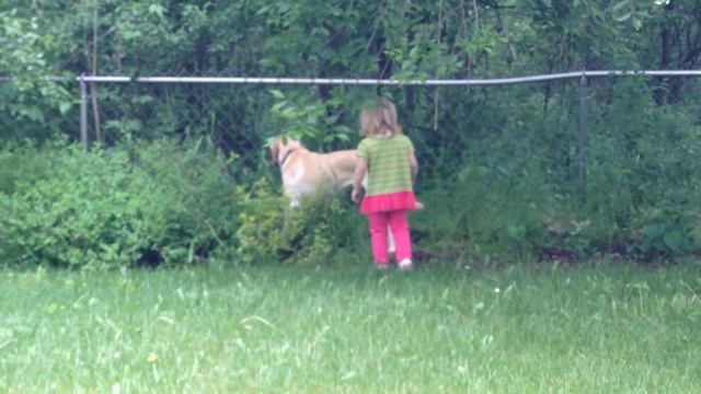 Em meets Tara 2 смотреть онлайн