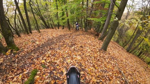 KTM vs. Rieju vs. Beta vs. Gasgas vs. TM Racing vs. Minirocket смотреть онлайн