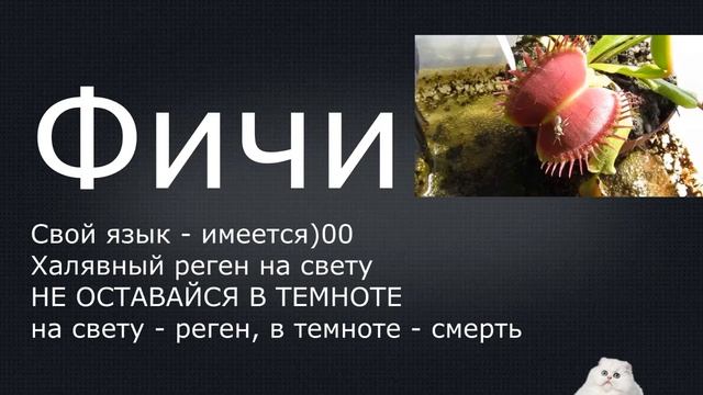 Space Station 13 - О РАСАХ ЗА МИНУТУ смотреть онлайн