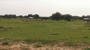 САМАЯ КРАСИВАЯ СТРАНА АФРИКИ. УГАНДА #1