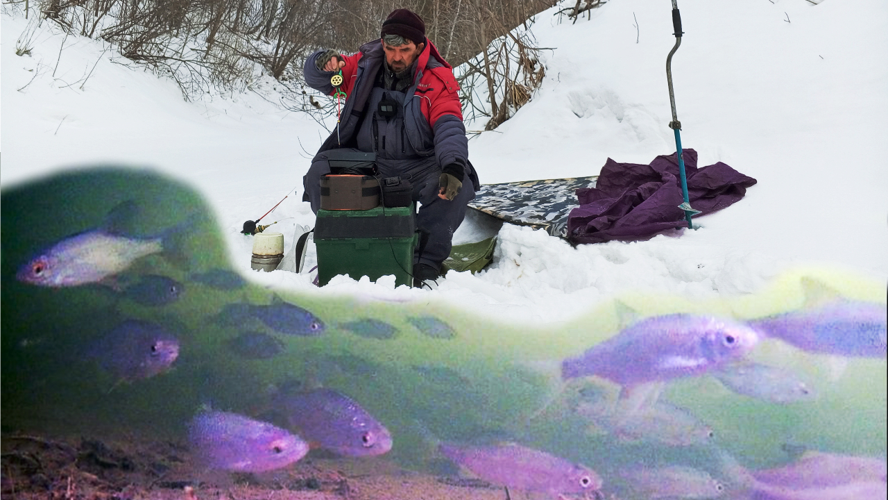 ПРИ ТАКОЙ ПЛОТНОСТИ РЫБЫ, ЛОВИТЬ НУЖНО МЕШКАМИ !!! ( СУЗУН ) 13 февраля 2024г. смотреть онлайн