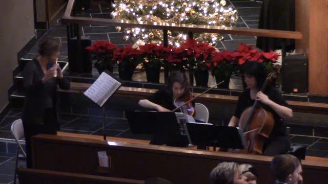 Canon in D - Pachelbel - Ars Elegante - Flute, Violin & Cello смотреть онлайн
