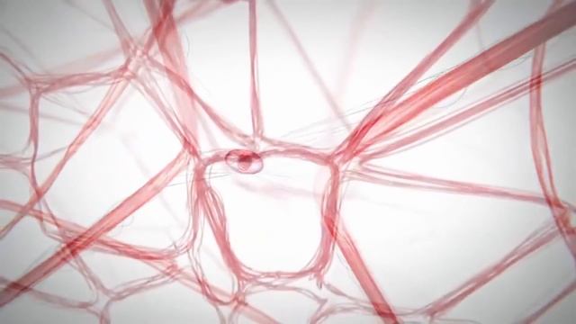 Inno GIALURON. Антивозрастная сыворотка смотреть онлайн