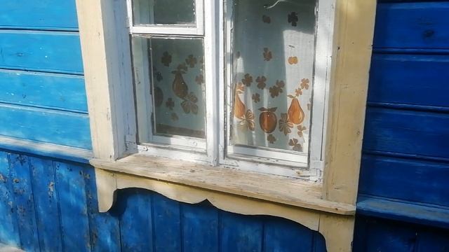Беларусь. Браславские озера. Домик в деревне, который ещё ого-го! Лёгкий обзор хозяйства. смотреть онлайн