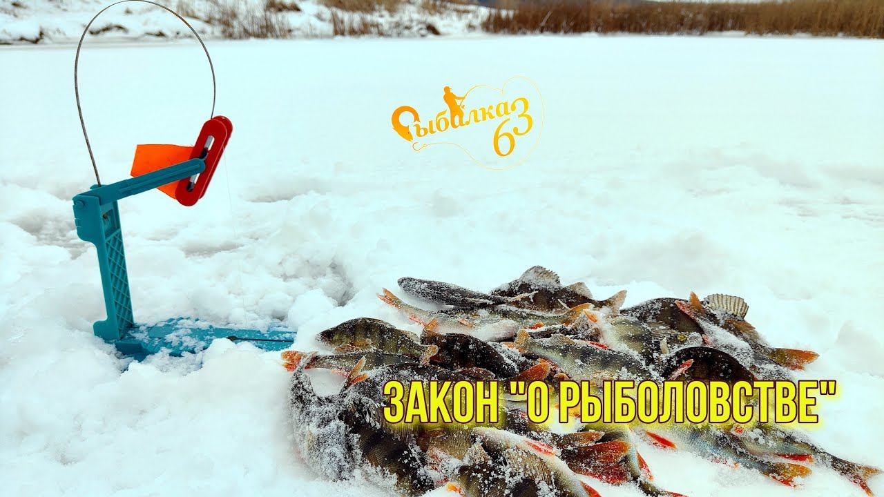 Закон "О рыболовстве" Сколько Жерлиц можно ставить по Закону? Сроки запрета смотреть онлайн